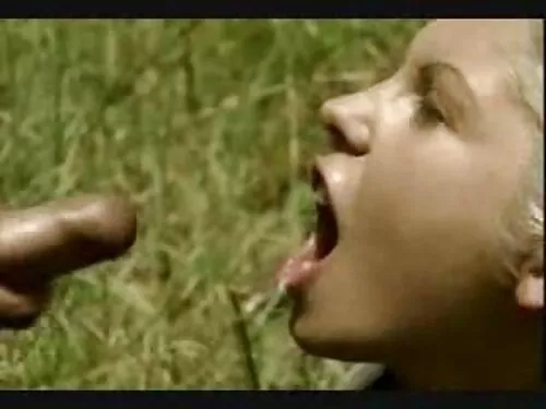 இரண்டு வண்ணமயமான அழக ...
